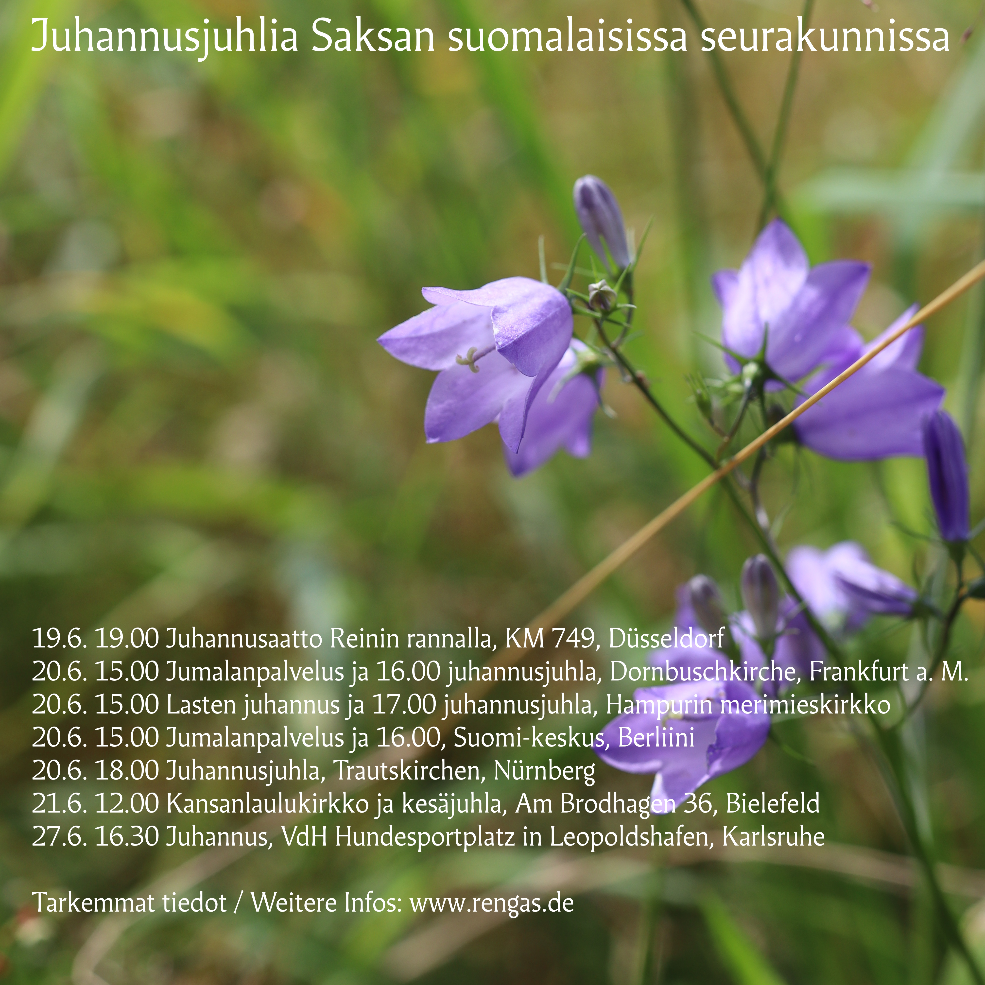 kissankello jonka päällä uutisen teksti