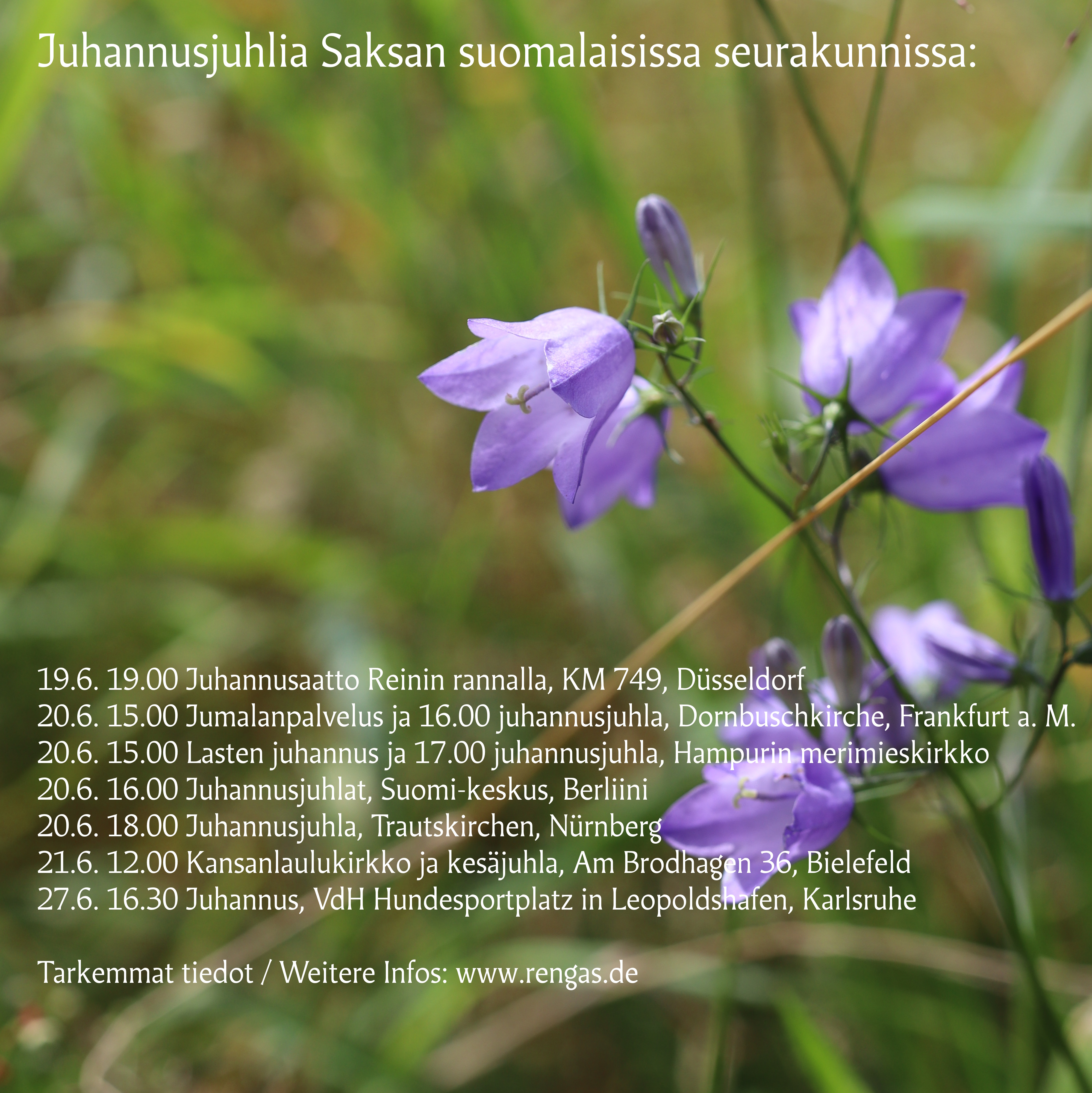 kissankello jonka päällä uutisen teksti