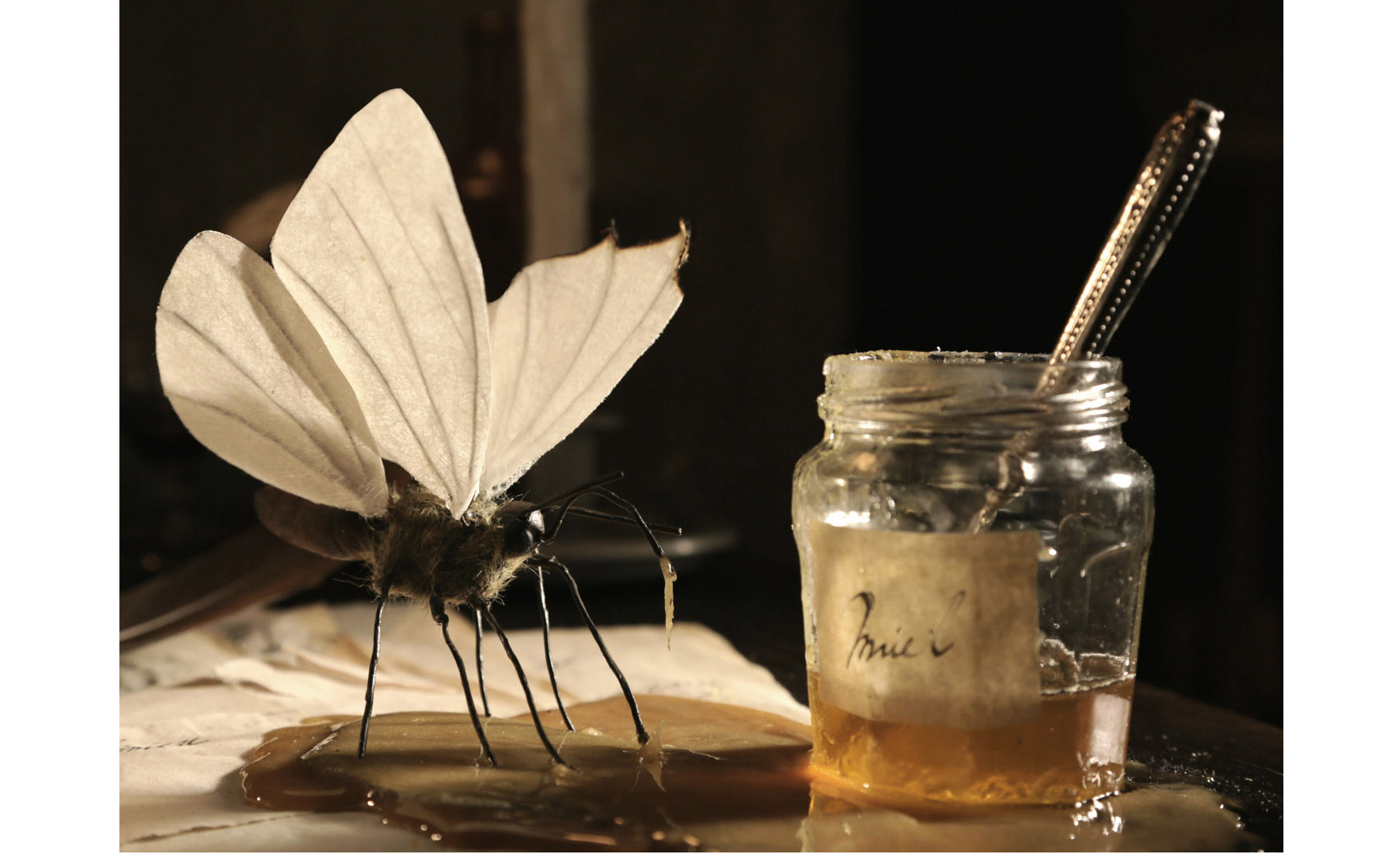Annika Dahlstenin teos Nocturnal Butterfly