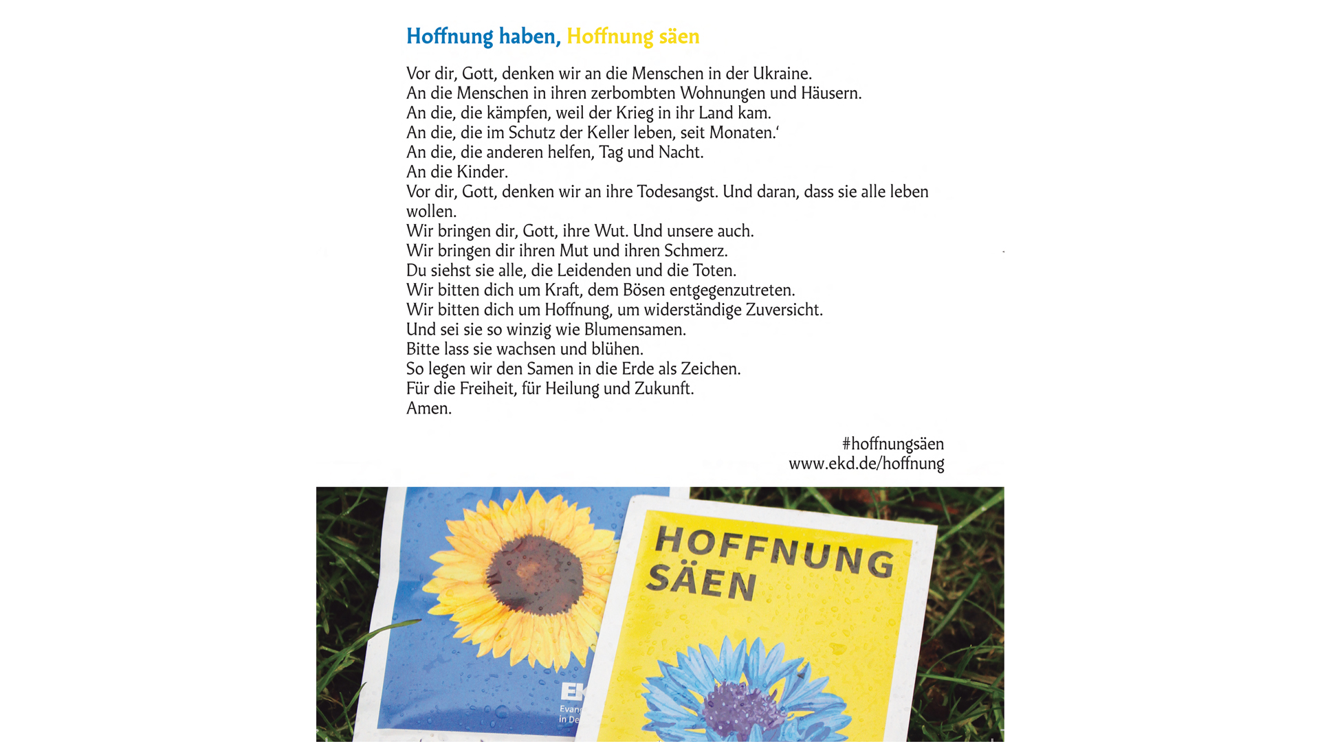 hoffunugsäen-runo ja auringonkukan ja ruiskukan siemenpusseja