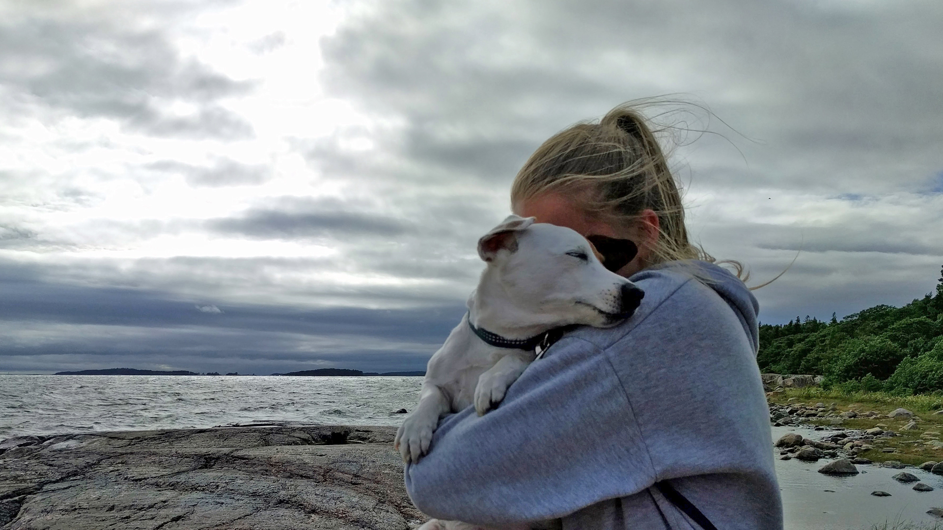 harmaapaitainen tyttö pitää koiraa sylissään tuulisella rantakalliolla