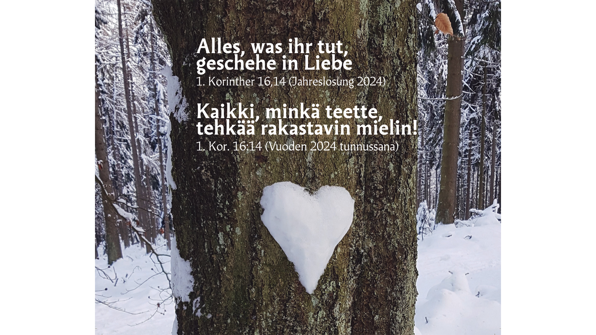puun runko, jossa lumesta tehty sydän ja tunnussanan teksti