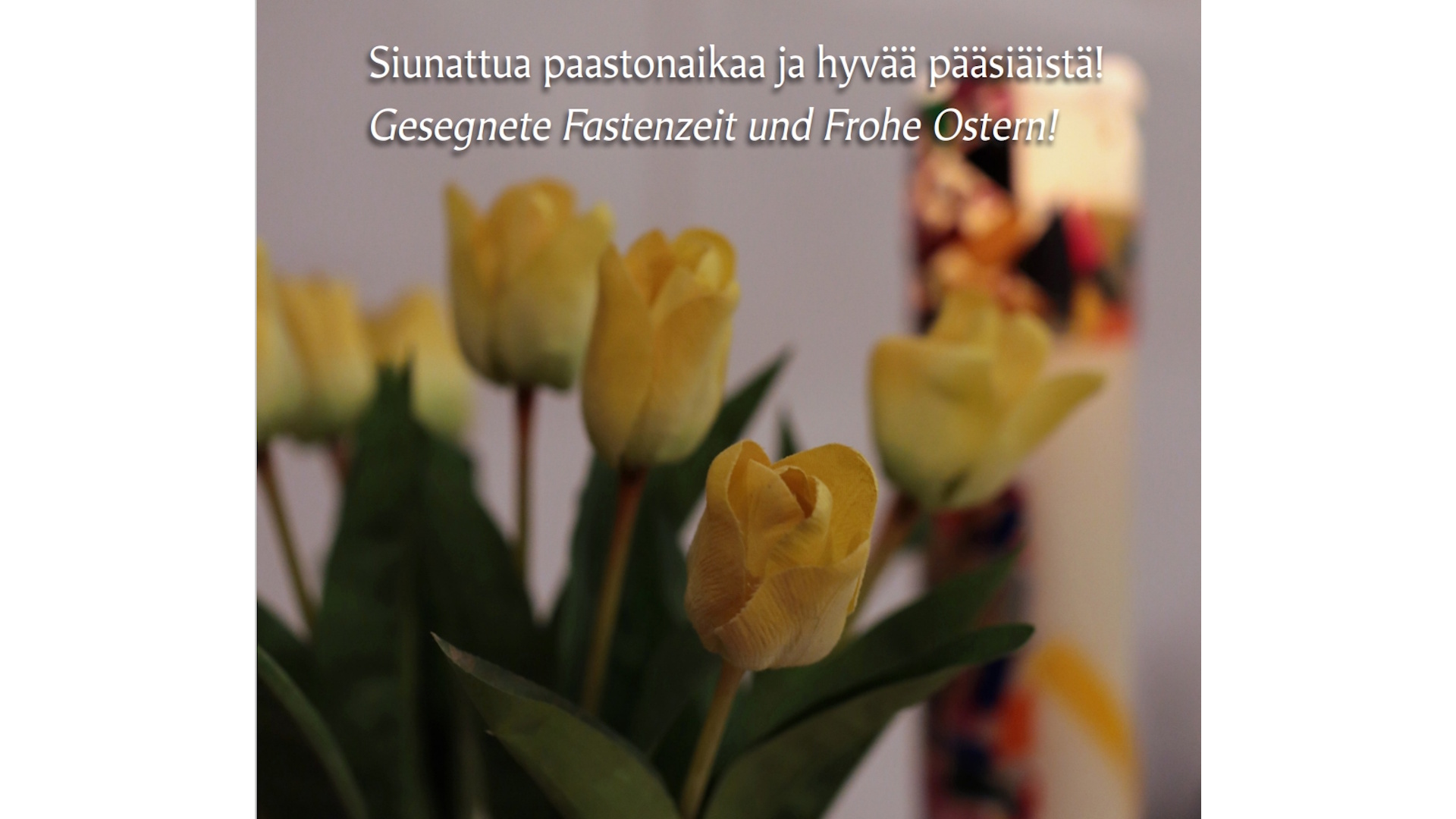 keltaisia tulppaaneja teksti siunattua paastonaikaa ja hyvää pääsiäistä