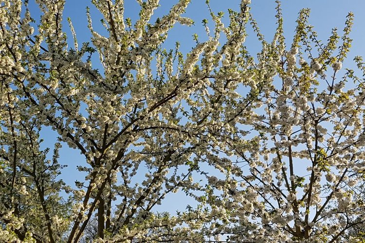Virsiä ja viiniä -ilta Virsiä ja viiniä -ilta
