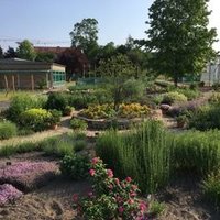 opastettu tutustuminen Kapuziner-luostariin ja sen puutarhaan / Führung durch das Kapuzinerkloster und -garten