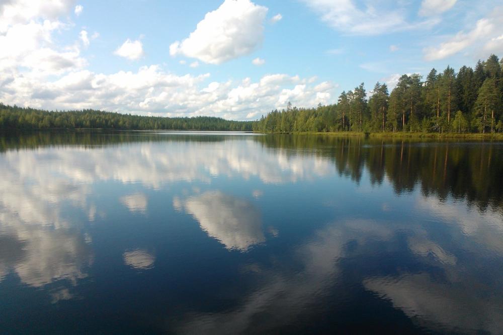 kuvassa järvimaisema