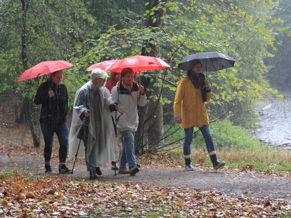 kävelijöitä sateenvarjoineen sateessa