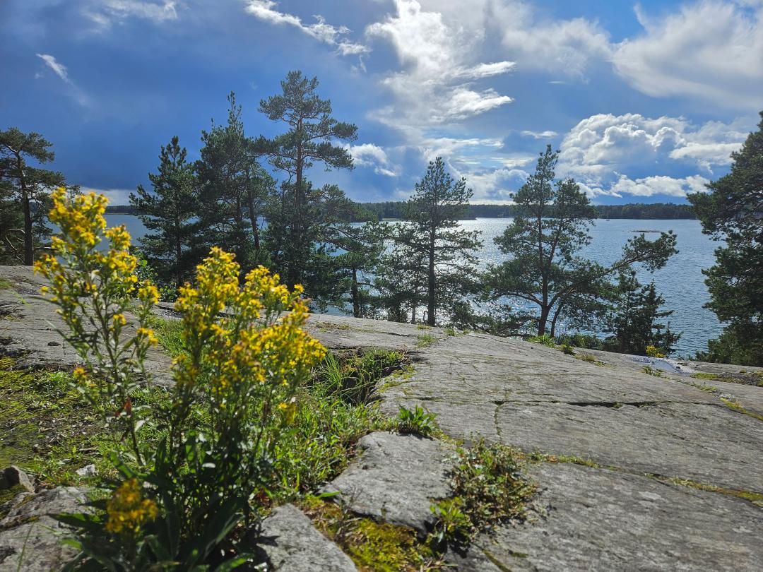 Merimieskirkon sosiaalikuraattorit apunasi